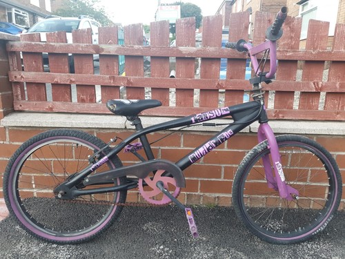 Muddyfox ransom bike - muddyfox,