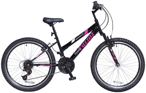 Pazzaz indiana inch wheel - 24,