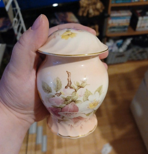 Royal worcester spode palissy - royal,