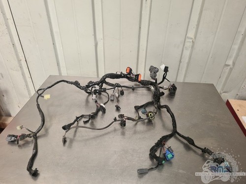 Main wiring harness without