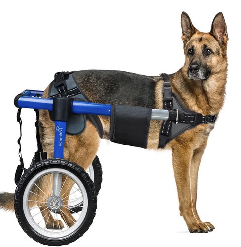 Virbraroo xxl dog - xxl, wheelchair