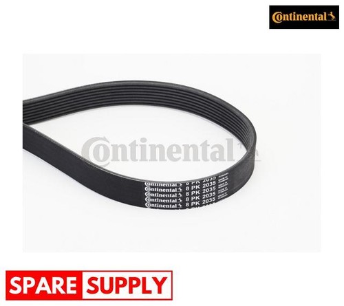 Ribbed belts for scania - belts, p