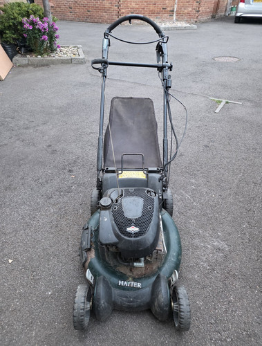 Hayter petrol push - petrol, mower