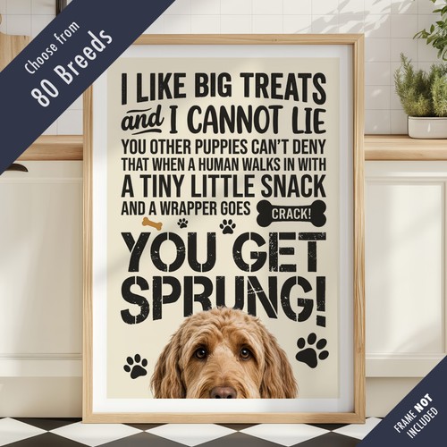 Funny dog treats lyric quote - dog,