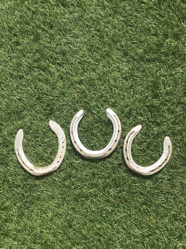 Aluminium horseshoe - 🏇,