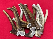 10 Pieces of 100% Natural Deer Antlers,  Medium size