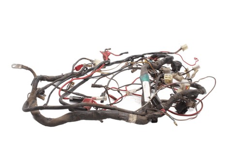 Wiring harness main - main,