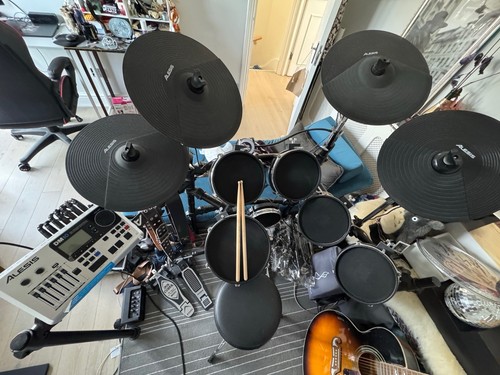 Alesis dm10 drum module - alesis,