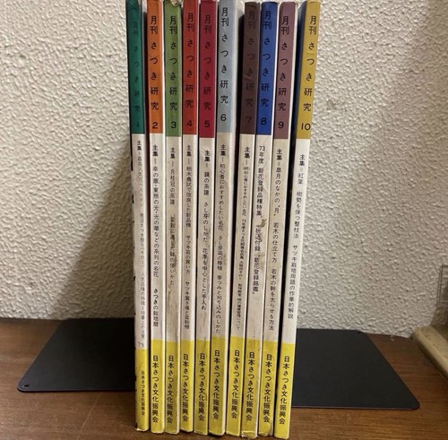 Satsuki Kenkyu Magazine 10