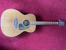 Takamine P1M Electro-Acoustic