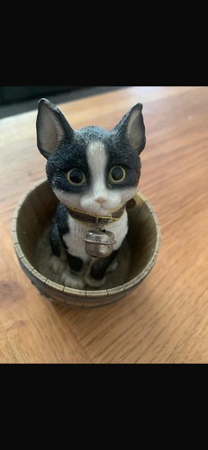 The leonardo collection - collection, cute