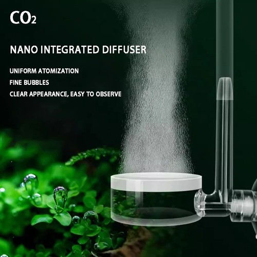 Aquarium co2 diffuser fish - aquarium,