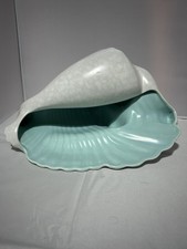 Large 12 Inch Poole Conch