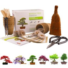 Bonsai Tree KIT - Grow 6 of Your OWN Bonsai Trees from Seeds  Gardening Gift Set