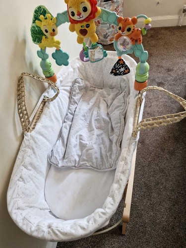 Baby mosses basket - mosses,