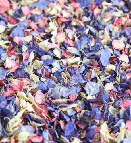 Flower petal confetti bright - flower,