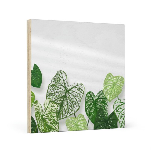Wood canvas - canvas,