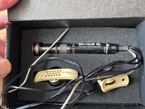 Baggs anthem acoustic - lr, sl