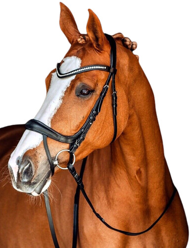 Adams tack anatomical leather - adams-tack,