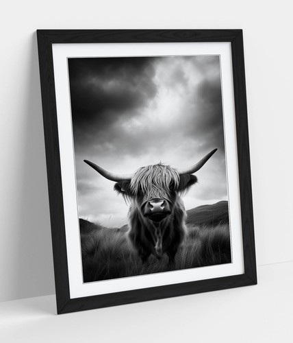 Cool black and - cool, highland