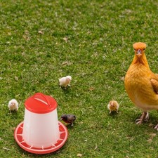 Efficient Hanging Chick Feeder and Waterer Meeting the Needs of Your Birds