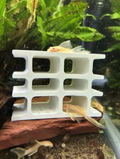 Pleco Cave Hotel Decoration