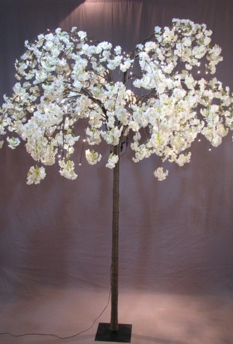 Lighted white cherry - lighted,