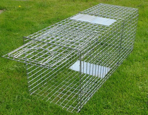 Large folding fox - ,large,