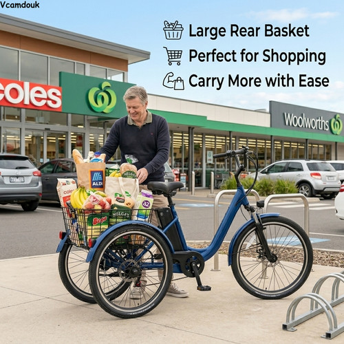 Inch electric trike for - 24,