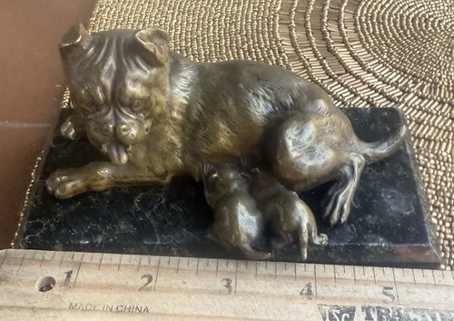 French bronze bulldog nursing - bronze,