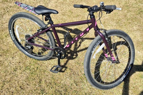 Vitus kids bike - 24,