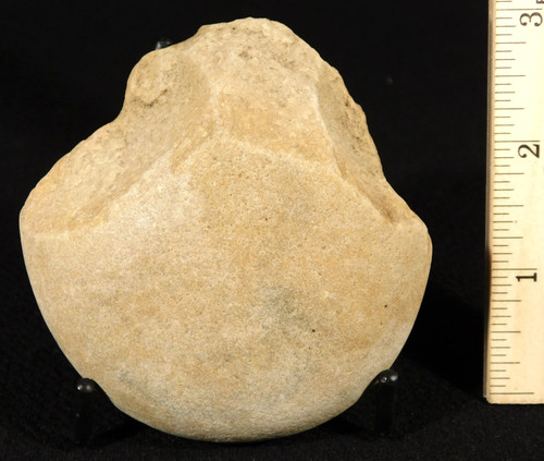 7 million year old - 1.7,
