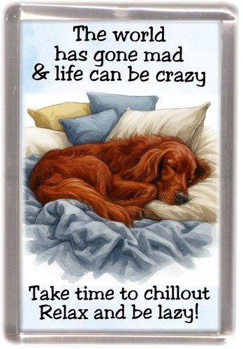 Irish setter red dog fridge - irish,