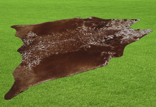100 genuine cow - cow, area