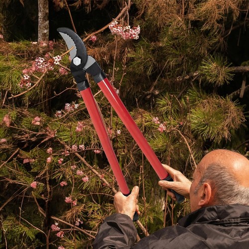 Long handle lopper - 24",
