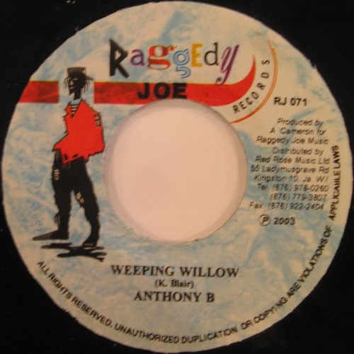 Anthony weeping willow - b,