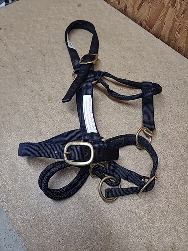 Monty roberts dually - monty,