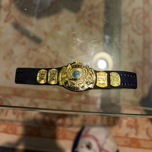 Winged eagle wwe championship - eagle,