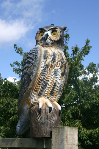 Bird scarer flambeau owl - scarer,