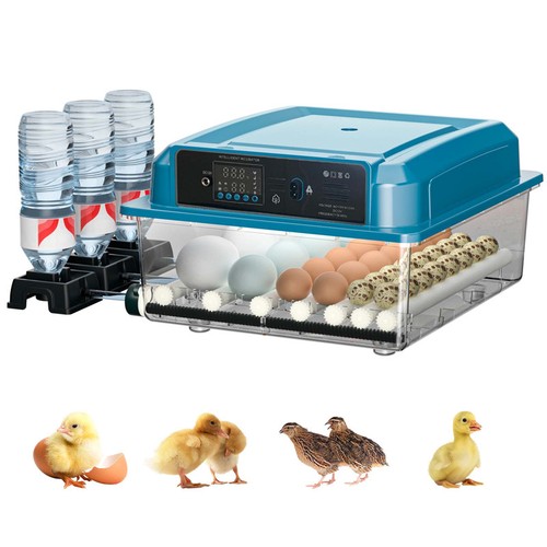 36eggs digital automatic - 36eggs,