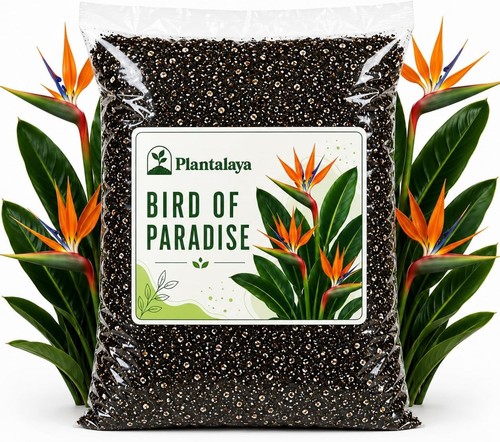 Bird paradise potting mix - bird, of