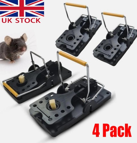 Long 4pack rat traps that - rat,