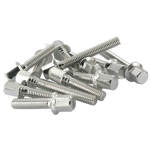 Silver engine crankcase screws - silver,