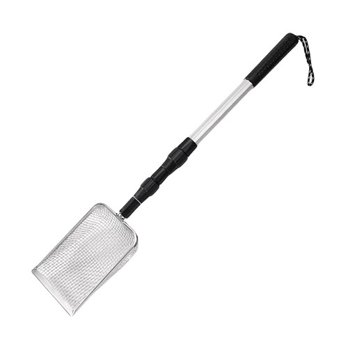 Beach sand sifter shark - sifter-, tooth