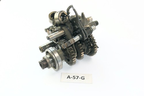 Honda 500 pd02 - r, year