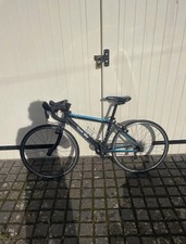 Kids Frog Team Sky Road Bike