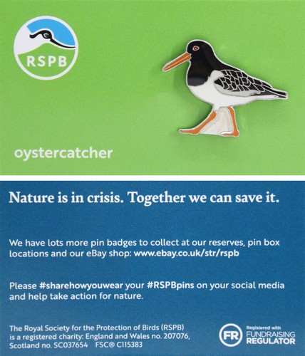 Rspb pin badge - rspb, niic