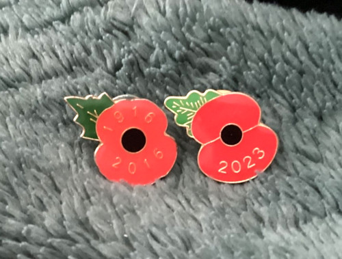 Poppy1 pin badge collection - poppy1,