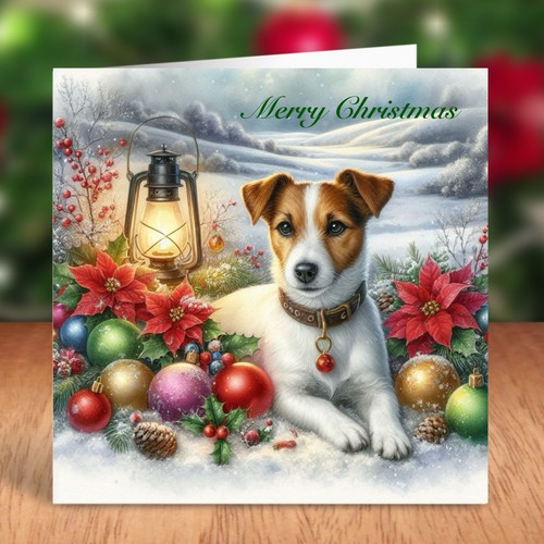 Jack russell terrier dog - jack,
