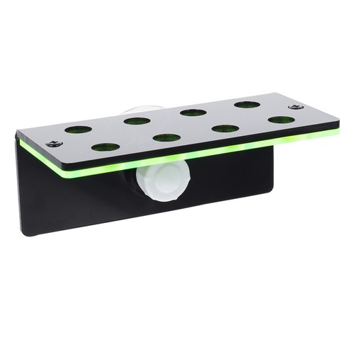 Live coral display stand - live,